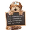 Abbigliamento per cani cucciolo di peli ALIGATOR CLIP ADORABLE ADORABILE ACCESSORI DI GIOTTO A SNAP SNAP