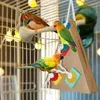 Other Bird Supplies Toys For Cockatiels Paper Chew Triangular Colorful Cage Accessories Parakeets Budgies Conures And Parrots Foraging