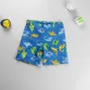 Shorts Summer 2017 Childrens Beach Shorts Boys Cartoon Pattern Swimwear Board Shorts 1-9 Years Childrens SwimwearL2405L2405