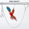 Autres fournitures d'oiseaux Chaîne à pied en acier inoxydable Perrot Herness Training Training Training Anklet Ring Stand Support