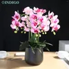 Декоративные цветы розовая моль орхидея цветок