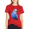 Polos Blue Budgie Parakeet Lovers Design T-shirt Vêtements d'anime T-shirts femme mignonnes