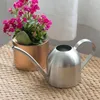 Stainless Steel Watering Pot Garden Plant Flower Long Mouth Sprinkling Pot Watering Accessories 450ml/800ml/1500ml 240508