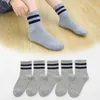 Kids Socks 5 pairs/batch autumn high elasticity simple childrens socks Korean cotton strip solid color letter boys and girls socks 1-12 Y d240513