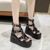 Hip Summer Sandal Women Sandals High Heel Cross Strap 10cm Slope Fish Mouth Womens Shoes 240228