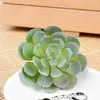 Fiori decorativi 12 pezzi di piante succulente artificiali a doppio gregge succulenti realistiche testurizzate cactus mini finto decorazione pianta falsa