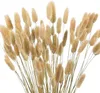 Fleurs décoratives 60 PCS Pampas Decor d'herbe 40 cm Tail séché naturel Lagurus Ovatus Bouquets Arrangements de mariage à la maison