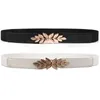 Belts Waist Belt Elastic Slim Decorative Stretchy Quick Release Tight Black Golden Plated Leaf Buckle Dress Waistband Jeans