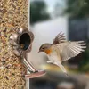 Autres fournitures d'oiseaux pour les intempéries en matière d'alimentation résistante au métal pour les intempéries pour le jardin de la cour extérieure avec quatre ports visibles