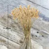 Fleurs décoratives 60 PCS Pampas Decor d'herbe 40 cm Tail séché naturel Lagurus Ovatus Bouquets Arrangements de mariage à la maison