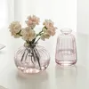 Vases Decor Modern Living Room Vase Bud Glass Hydroponics For Transparent Flower Decorative Bottle Table Mini Ornaments Plant