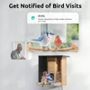 Autres fournitures d'oiseau Netvue Birdfy - Faisseur intelligente améliorée avec caméra Gift en bois de bambou Reagle Bamboo à la caméra pour Noël