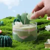 5pcs Candles Velas Regalo Invitados Gift Candles Diy Cactus Sand Candle Casa Decorativa Louvenirs para convidados de casamento