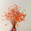 Decorative Flowers 200PCS Mini Flores Bouquet Brazilian Small Star Daisy Real Natural Dried Flower For DIY Epoxy Resin Wedding Home