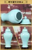 Bouteilles de rangement Jingdezhen en céramique Jar Temple antique en porcelaine gingembre en gros pots et vases décoratifs