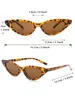 Солнцезащитные очки 2pcs Unisex Classic Cat Eye Fashion Boho для повседневной жизни крутой музыкальная вечеринка путешествия