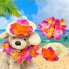 Vestuário para cães havaiano coloras de animais de estimação vibrantes suprimentos de festas figurinos de flores de palha com guirlanda para externo
