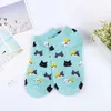 Kindersocken 5 Paar neue Frauen -Baumwoll -Knöchelsocken süße Katze farbige Socken lässige Tiere Obstkuchen Cartoon Mädchen Socken D240513