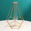 Vases Geometric Iron Line Vase Terrarium Simple Retro Metal Plant Holder Modern Nordic Hydroponic Wrought