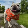 Lüks tasarımcı evcil hayvan kıyafetleri köpek gömlek modaya uygun küçük köpek