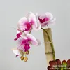 Fleurs décoratives 10pcs / lot !!!En gros 3d Real Touch Orchidées de papillon artificiel Latex Moth Orchid Wedding Phalaenopsis