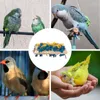 Andra fågelförsörjningar Paraketet tuggteksaker som strimlar trä husdjur står liten papegoja leksak för budgie
