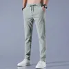 Pantalones para hombres 2024 Hielo seda para hombres verano nuevo gris negro delgada pantalones casuales al aire libre