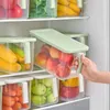 Hafif yeşil kategorili depolama şişeleri genişletilmiş tazelik görsel kaplama sağlıklı malzeme kutusu mutfak malzemeleri kırıcı