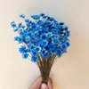 Decorative Flowers 200PCS Mini Flores Bouquet Brazilian Small Star Daisy Real Natural Dried Flower For DIY Epoxy Resin Wedding Home