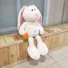 Żaba na owcę nocną Sleepy Wool Plush Toy Doll Doll Holiday Gift 240510