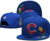 Chicago''Cubs''Ball Cap Baseball Snapback for Men Women Sun Hat Gorras embroidery Boston Casquette Sports Champs World Series Champions Adjustable Caps a2