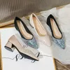 EU Größe 35-43 Großgröße Designerschuhe klobige High Heel Schuhe Frauen weicher spitzer Zehenkleid Schuhe Frauen Closen Schuhe bequeme Frau Fußwear Kristallschuhe