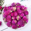 Fleurs décoratives naturelles colorées séchées pour la fête du festival de Noël décoration de maison vraie plante sèche rose faire des accessoires d'artisanat bricolage
