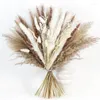 Fleurs décoratives 80pcs Pampas Natural Pampas Decor Bouquet Boho Arrangement floral séché Table maître de table Décoration rustique Décoration rustique