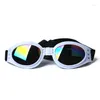 Dog Apparel Prop предотвращает снабжение домашних животных для очков So Fold Sunglasses Goggles аксессуары кошки мода