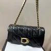 Crossbody Designer -Taschen Lady Luxury Bag gesteppte Kissen Tabby Umhängetasche Frau Party Leder Clutch Bag Damen Crossbody Bag Designer XB129
