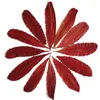 Dekorative Blüten 60pcs getrocknet gepresstes grün/rotes Rhus Typhina Blätterblätter Pflanzen Herbarium für Schmuck Po Frame Lesezeichen Telefonhülle DIY