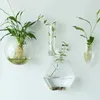 Vases décorations de maison plantes hydroponiques purifiez la maison en verre d'artisanat