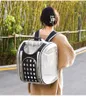 Carriers Cat Dog Backpack Carrier Viaggio per esterni per esterno borsetta trasparente per trasporto di animali domestici trasparenti