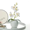 Kwiaty dekoracyjne pu motyl orchidea sztuczny kwiat bonsai wazon ceramiczny zestaw domowy salon dekoracje ślubne ozdoby