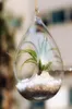 Neue Ankunft Wasserträgertropfenglas hängende Pflanzer Behälter Vase Pot Terrarium Dekoration2320342