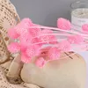 Kwiaty dekoracyjne naturalny suszony kwiat truskawkowy owoce DIY Immortal Christmas Home Wedding Weseel Fresh Style Dekoracja 15pcs