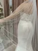 Gioielli per capelli per matrimoni V101 Veli da sposa scintillanti luccicanti velo da sposa con pettine bling 1 bordo taglio a taglio di champagne bianco accessori per matrimoni 2023