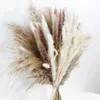 Fleurs décoratives 80pcs Pampas Natural Pampas Decor Bouquet Boho Arrangement floral séché Table maître de table Décoration rustique Décoration rustique