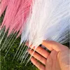 Decorative Flowers 5/10PCS High Quality Reed Pampas Grass Artificial Wedding Party Bouquet Boho Home Decor Bedroom Garden Balcony Decoratio