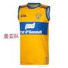 Gaa Derry Clare Louth Michael Collins Commémoration Jersey Rugby Limerick Antrim Wicklow Tipperary Kerry Mayo Galway Dublin Meath Galwaygaillimh Arann