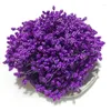 Dekorativa blommor 800 st 5mm/0.19 tum konstgjorda skum Stamen Party Decoration Wedding Flores Artificiale Dec Flower Wall