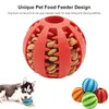 Hundeballspielzeug für kleine Hunde interaktive Elastizität Welpe Kauen Spielzeugzahn reinigen Gummi -Food Ball Spielzeug Haustier Stuff Accessoires