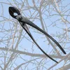 Торжкование шарикового сустава корень дерева обрезка марганца стальная обрезка садовые инструменты высокая твердость филиал Bonsai 240509