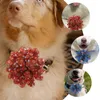 Odzież dla psów 20 szt. Puppy kołnierze Bow Flower for Small Cat Pet Ornament Ties koronkowe ozdoby